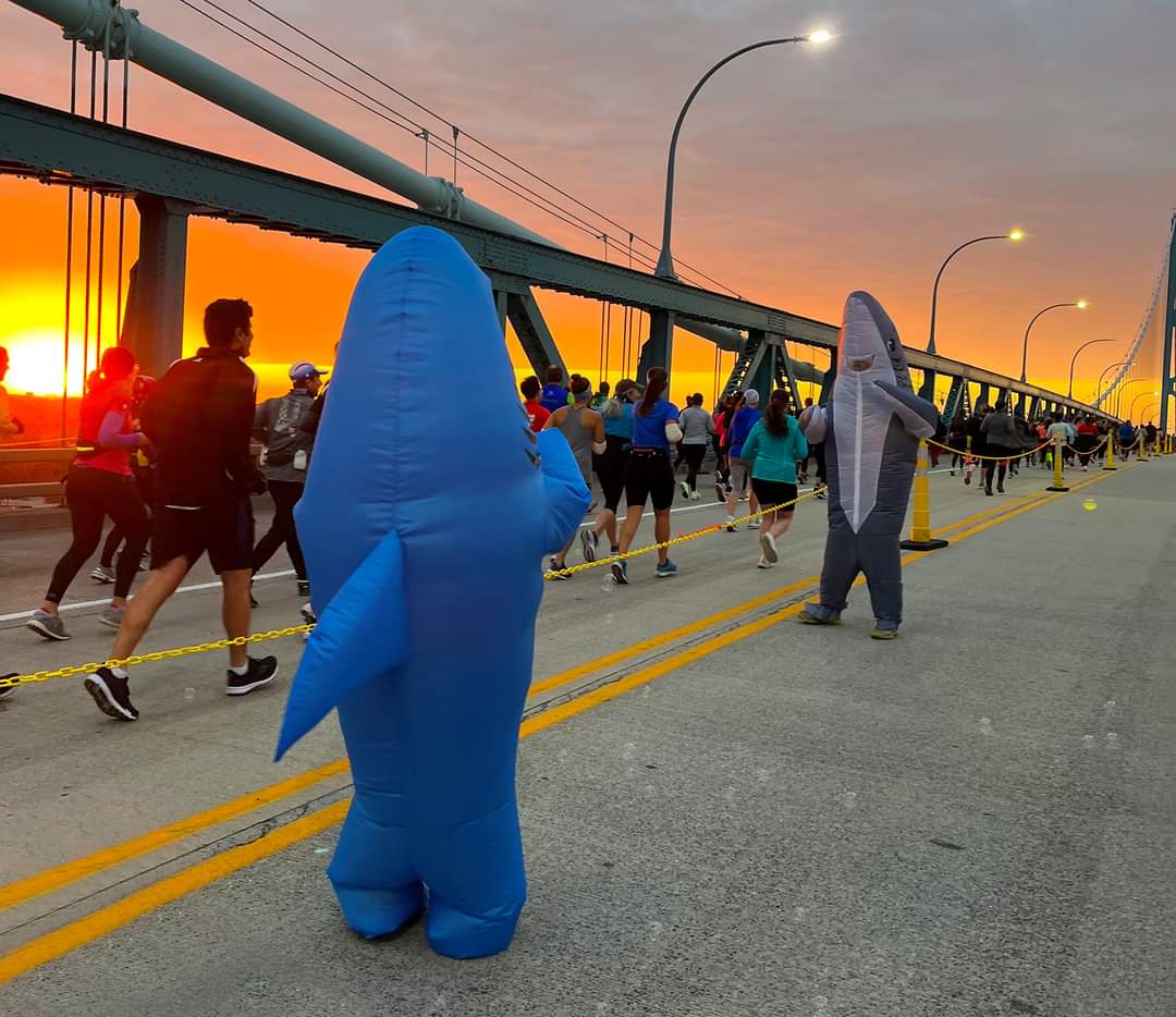 AmbassadorBridg's tweet photo. After a 2 year hiatus from being an international event, the Free Press Marathon came back strong with 19,000+ participants with high energy Ambassador Bridge Team along the way ensuring a perfect event on all new bridge roadway as they moved across into Windsor. https://t.co/tYrUOSxhIL