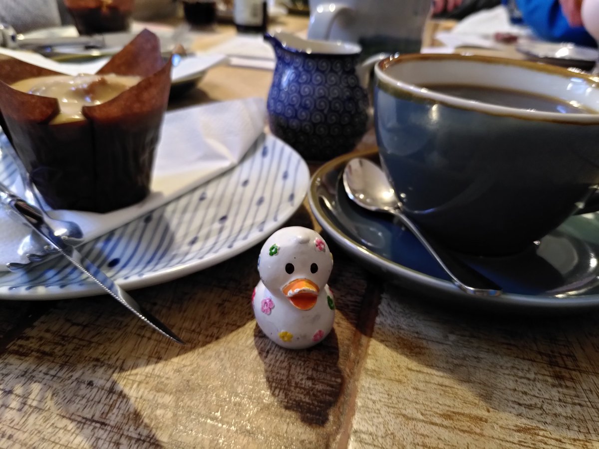 Kirstymill's tweet photo. Enjoying a coffee and cake in Kirkwall! #Archaeoduck out and about in #Orkney https://t.co/AMVQ7a2hyA