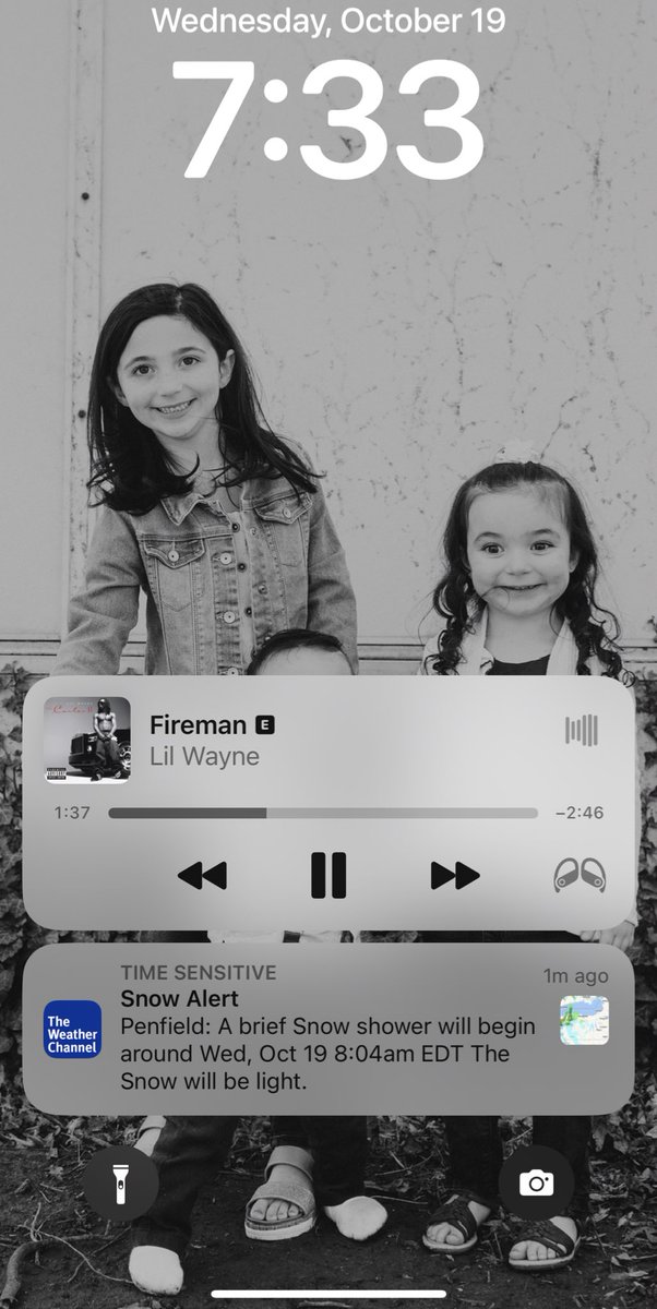 Larry Petrone tweet media