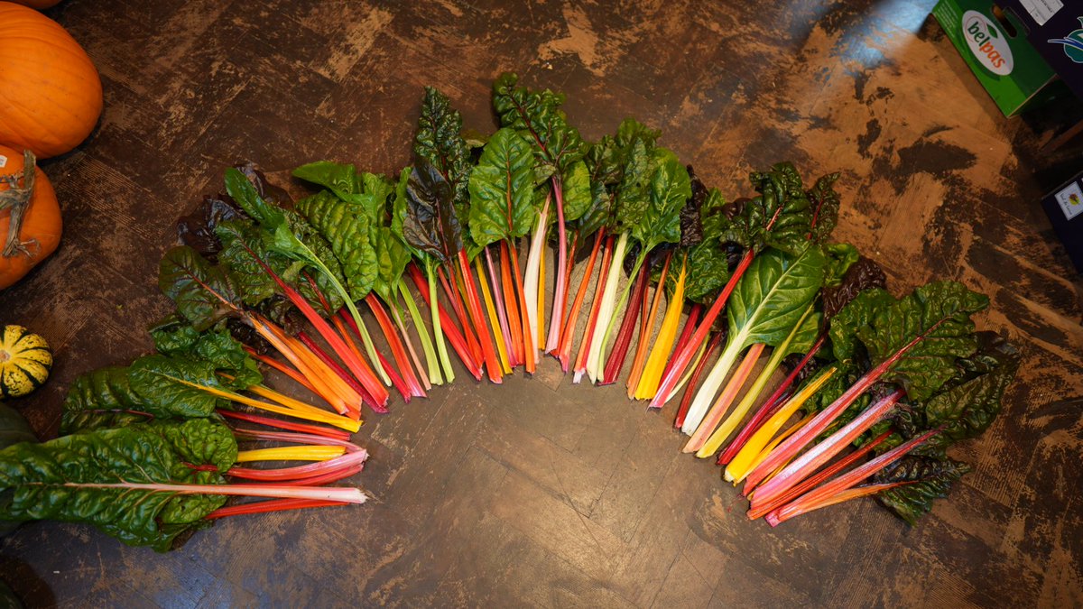 ExSqueezeMe tweet media