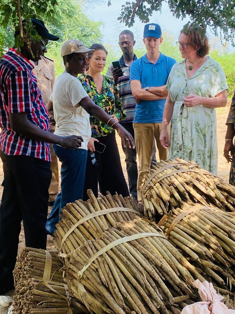 FIDAfriqueOuest's tweet photo. Le développement rural centré sur l'agriculture peut faire rayonner la prospérité dans toutes les couches de la société.

🙌 pour les femmes et les hommes
🌏 pour la planète
🤝 pour notre avenir en commun

Nous devons #FinancerlAgriculture https://t.co/hFeijl8spI