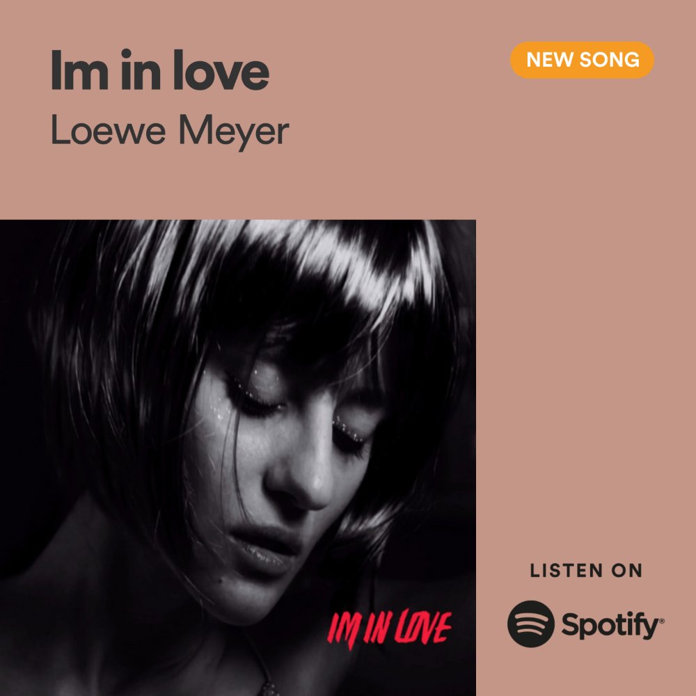 Loewe Meyer (@LoeweMeyer) / Posts / X