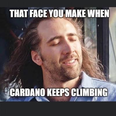 CNFT Geek tweet media