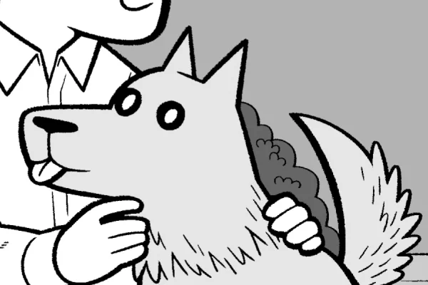 この犬の適当さを見よ! 
