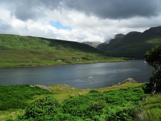 ATU_OpenAccess's tweet photo. A third paper, from 2020, saw James O'Connor and his co-authors examine the prevalence of microplastics in brown trout in an Irish river system.

https://t.co/obTOWVCdqt https://t.co/yQbZOwISxv