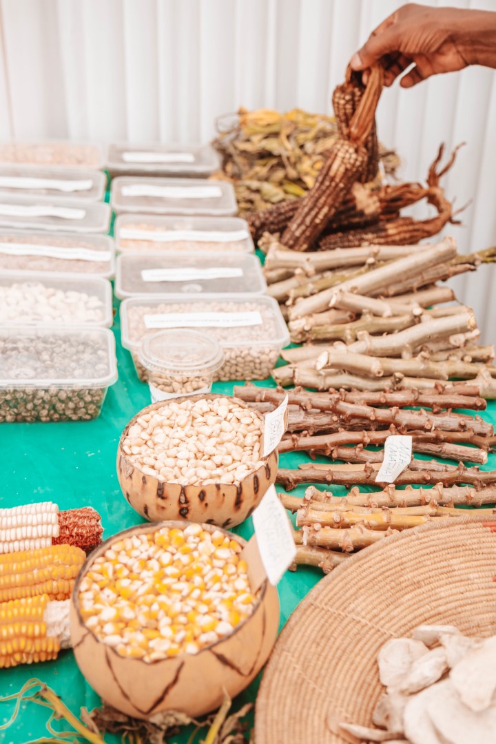 FAOTanzania's tweet photo. Once neglected &amp; underutilized, African indigenous foods are making their way back into healthy diets.

Under the @EUinTZ-funded #AGRICONNECT project, @FAO is promoting traditional meals for improved food &amp; nutrition security &amp; economic empowerment of rural communities. https://t.co/EzsJpUJzJh
