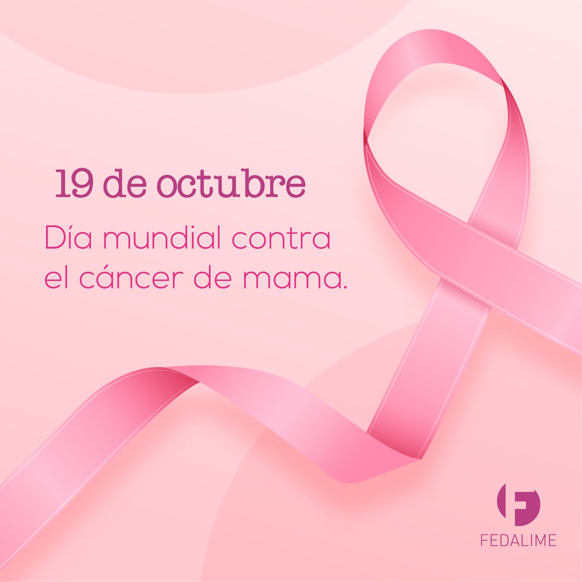fedalime's tweet photo. Hoy en el #DíaMundialContraElCáncerDeMama queremos mandar nuestro apoyo a todas esas mujeres increíbles que han luchado o están luchando contra el cáncer de mama.
Mucha fuerza 💪💟 https://t.co/SKPtk2R5pr