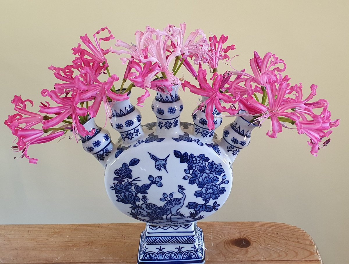 AdvollyR's tweet photo. Afternoon! #nerines looking lovely in the mini #tulipiere #flowers of autumn. https://t.co/WG2ruYjoo2