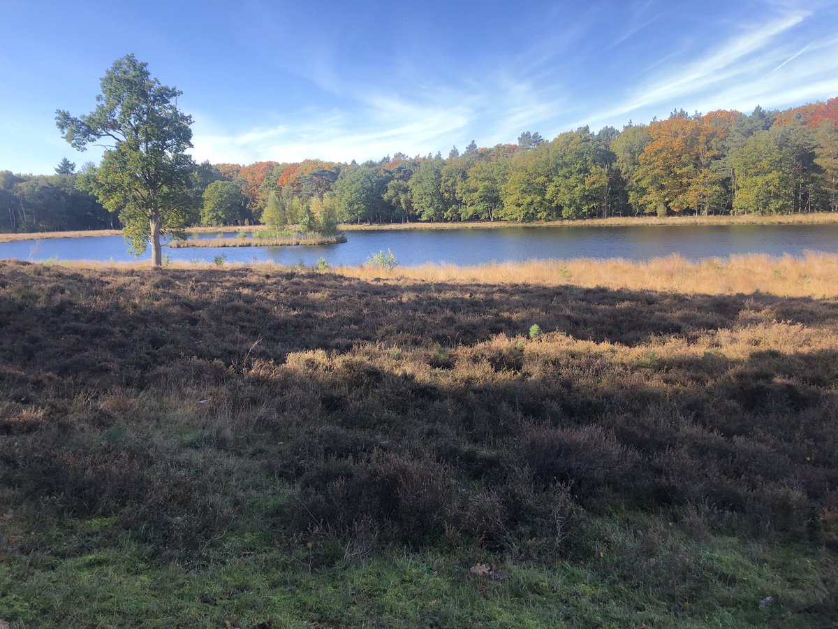 marjo stam tweet media