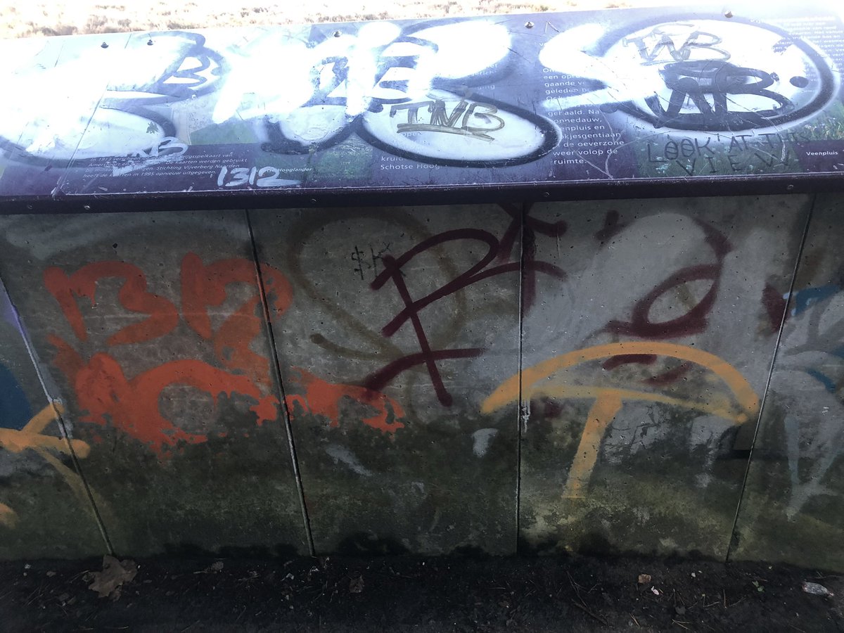 marjo stam tweet media