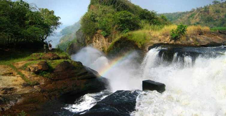 taubanictours's tweet photo. Visit PEARL OF AFRICA just at the cheapest price possible with help of TAUBANIC TOURS AND TRAVEL.
#uganda #pearlofafrica #kampala #travels #tours
Whatsapp: +971566952093 ,+971502315204,
Call: +256757006103
Email: taubanictours@gmail.com
Web: https://t.co/2VqPn1bAtg https://t.co/dEj2y3JM4H