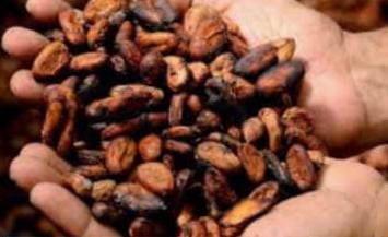 No te pierdas tu programa popular, de todos los Miércoles, LA HORA DE LOS CLAP TÁCHIRA. 📻🎙️

Sintoniza, infórmate sobre el fortalecimiento de la producción de cacao en nuestra región andina.
#ClapTachiraProductivo 🚜🌰🥜
<a href="/FreddyBernal/">Freddy Bernal</a>
<a href="/BermudezJoseA/">Bermúdez José</a>
@Tachira_Clap