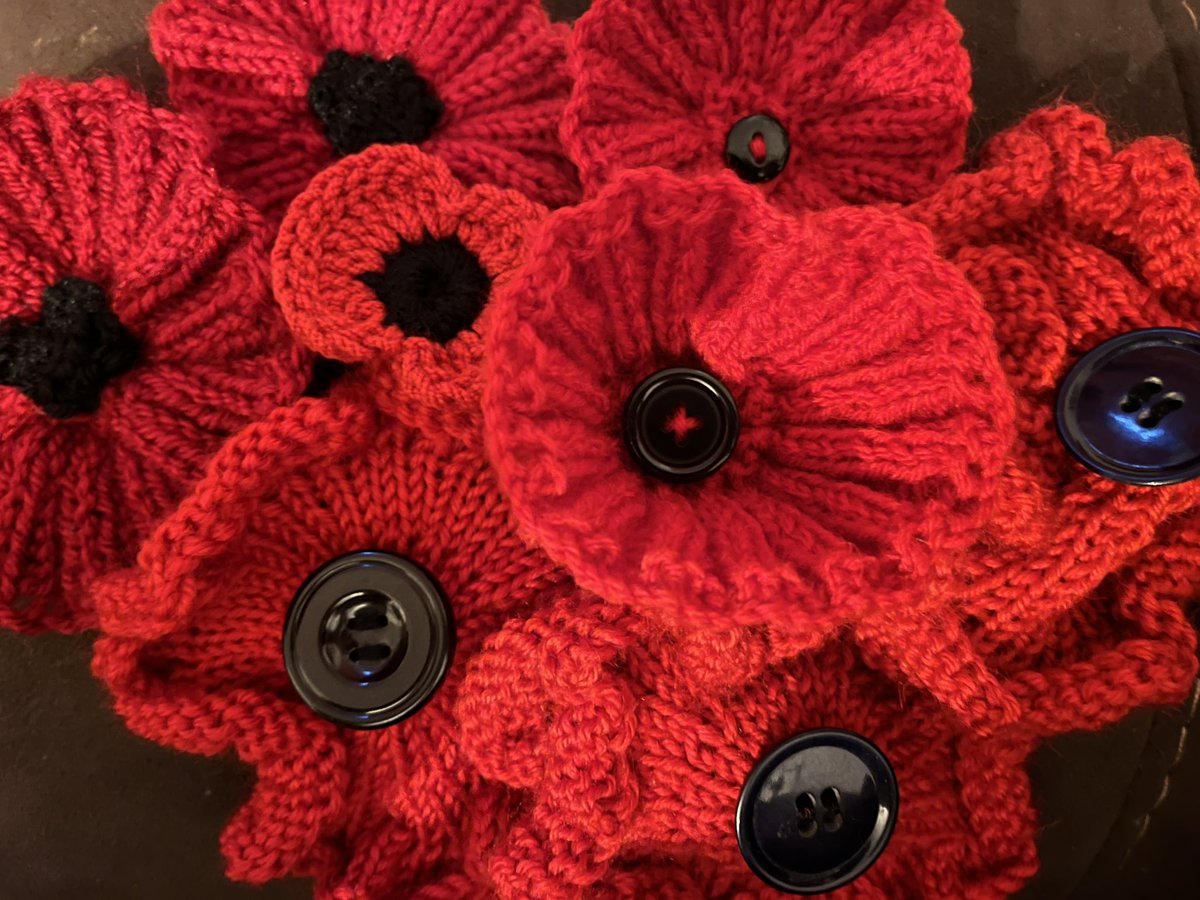 SeaMills100's tweet photo. Can you knit? These are just some of the poppies knitted for the museum’s Remembrance Day display. We’d love some more! Details at the link https://t.co/G0xe1SKPti https://t.co/lBm1EFEVWq