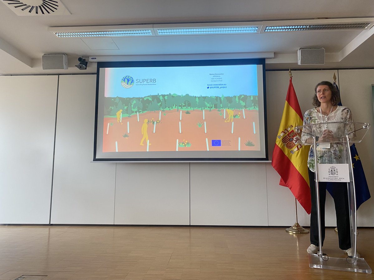 @EU_Commission @FORESTEUROPE @SilviaAbruscato @bmel @abravo_oviedo @CSIC @rescodedios @UdL_info @Junta_Ex The #IntegrateNetwork has possibilities to cooperate with different projects for #forestrestoration and #biodiversity conservation like @superb_project. Now @BeWolf667 & @elisabethpoetz, heads of @EfiGovernance and @efiresilience lead the discussion on how to start collaboration.