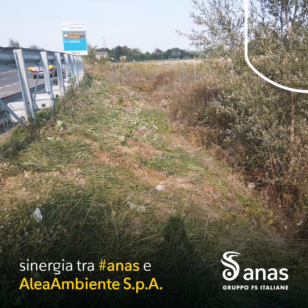 StradeAnas's tweet photo. Sinergia tra #Anas e #AleaAmbiente per rimuovere i rifiuti abbandonati lungo la #SS727 bis Tangenziale di Forlì.
🚮♻️Raccolti 60 quintali di rifiuti, tra i quali rifiuti ingombranti e speciali. https://t.co/D04mqyK1jn