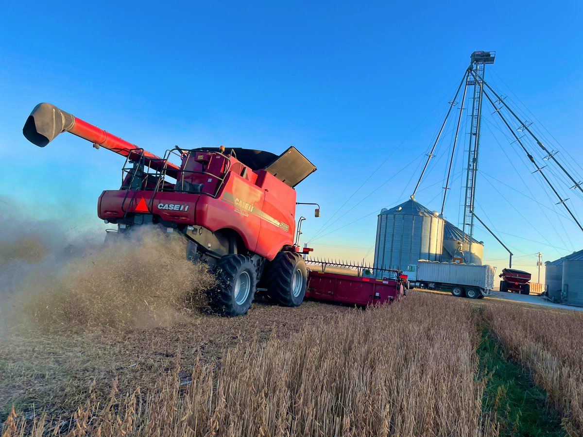 We harvested our second #RelayCrop plot yesterday. The relay #Soybeans brought 57bu/ac and the regular soybeans did 68. Was hoping for no yield difference, but we are again amazed at the profit gains from using a diverse, relay cropping system! #SoilHealth #Harvest22 <a href="/MultiIowa/">Multi-cropping Iowa</a>
