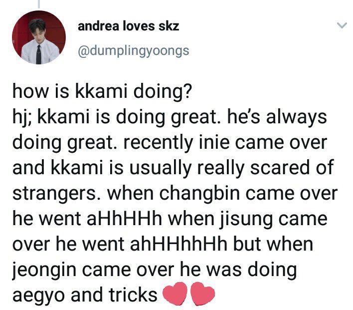foxeology's tweet photo. "kkami likes nobody" but kkami likes jeongin 🦊 https://t.co/GPppeSxY6F