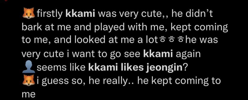 foxeology's tweet photo. "kkami likes nobody" but kkami likes jeongin 🦊 https://t.co/GPppeSxY6F