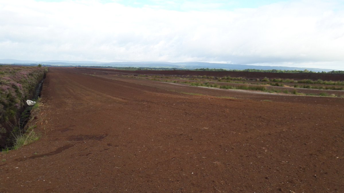 Wednesday 🧵 1.For the past two days, I have described the invaluable & critical role that natural peatlands play in regulating the global climate through the sequestration & storage of atmospheric carbon. Today, our thread takes us on a dark, dark road. 👉 PEAT EXTRACTION