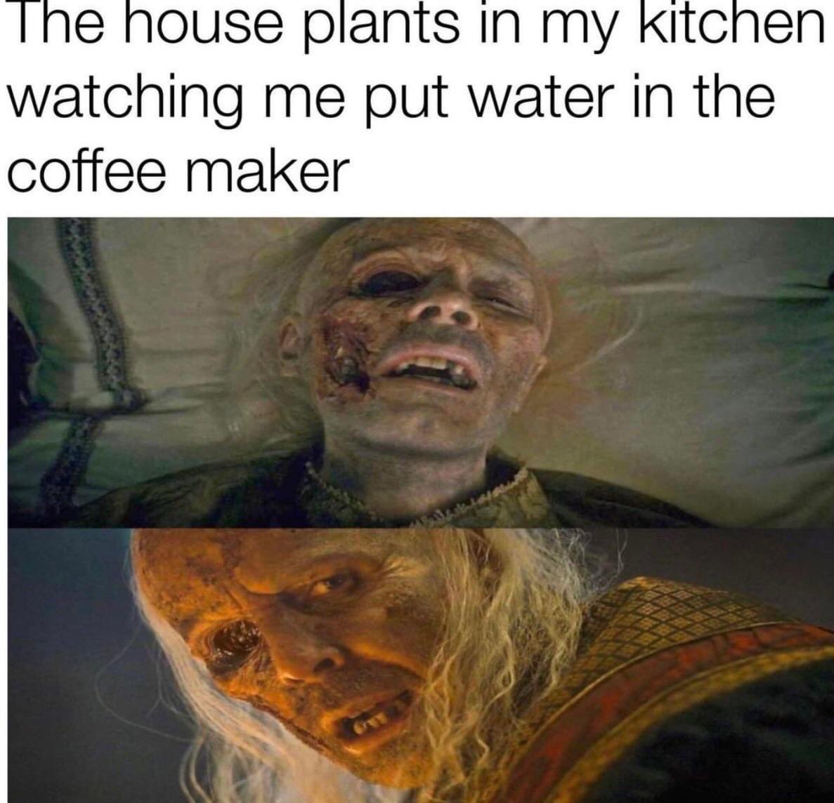 HOTDNewsHBO's tweet photo. The accuracy 😂 #HouseOfTheDragon https://t.co/9LidJp1BKJ