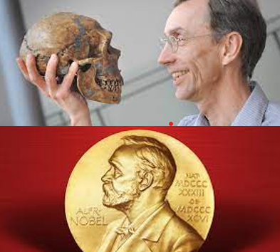 dickslagter1's tweet photo. Nobelprijswinnaars halen vette krantenkoppen. Svante Pääbo niet. De grondlegger van de paleogenetica bewees dat Neanderthalers geen aparte mensensoort zijn. In mijn boek 400.000 GENERATIES, speelt zijn werk een grote rol. Lees mijn nieuwe blog en klik op: https://t.co/8WVZNKd3zO https://t.co/WuqzhNKMgQ
