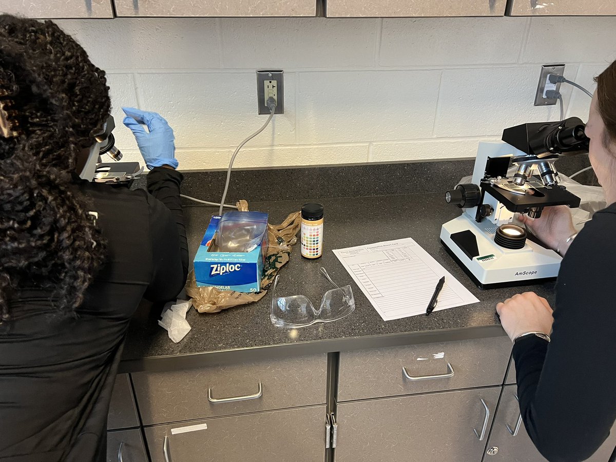 BrainyBio_Bunch's tweet photo. @WarhillHigh #veterinaryscience Ss completed urinalysis assessments this morning using @FisherSciEdu centrifuges, @Am_Scope microscopes and refractometers.  They looked for blood cells, crystals and sediments to determine the health of their patient.  #stem https://t.co/L5YY1bJCiu