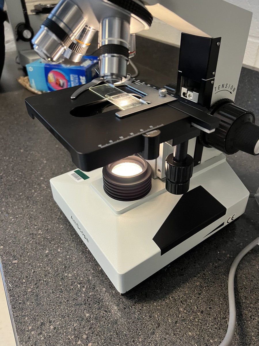 BrainyBio_Bunch's tweet photo. @WarhillHigh #veterinaryscience Ss completed urinalysis assessments this morning using @FisherSciEdu centrifuges, @Am_Scope microscopes and refractometers.  They looked for blood cells, crystals and sediments to determine the health of their patient.  #stem https://t.co/L5YY1bJCiu