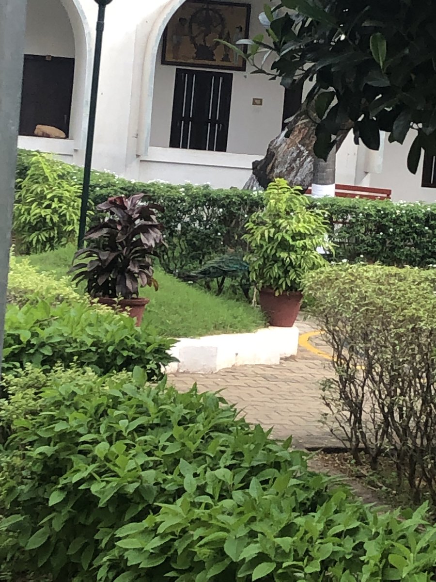 Prasaadhere's tweet photo. Special host who helped us at check in! Can you beat this *view from room*? #viewfromroom https://t.co/9yBl6qmEW9