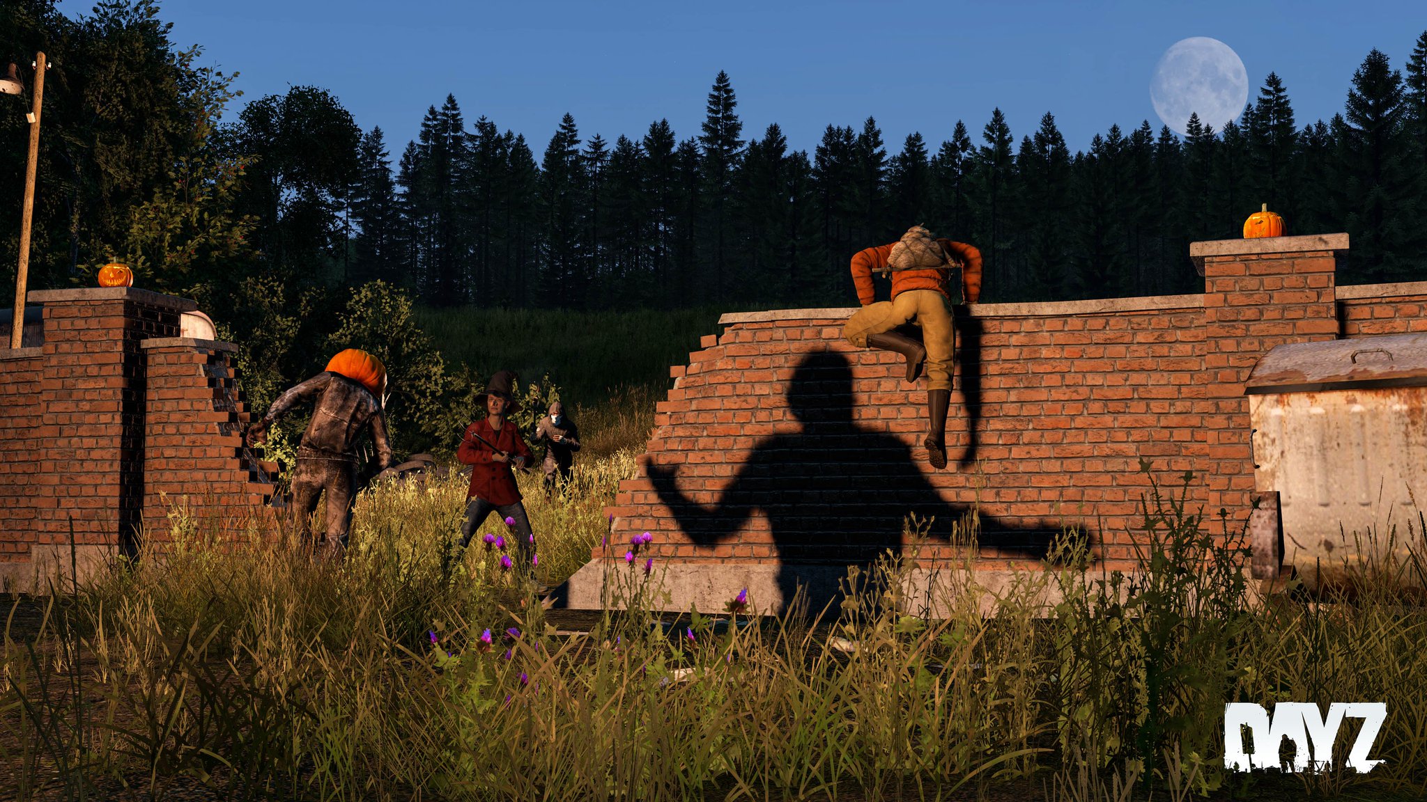 DayZ 🖥 🎮 ❤️ on X: 📢⚠️Survivors, After a thorough