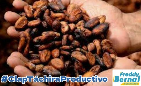ManaClap's tweet photo. No te pierdas tu programa popular, de todos los Miércoles, LA HORA DE LOS CLAP TÁCHIRA. 📻🎙️

Sintoniza, infórmate sobre el fortalecimiento de la producción de cacao en nuestra región andina.
#ClapTachiraProductivo 🚜🌰🥜

@FreddyBernal
@BermudezJoseA
@Tachira_Clap https://t.co/2SDxSjkYxo