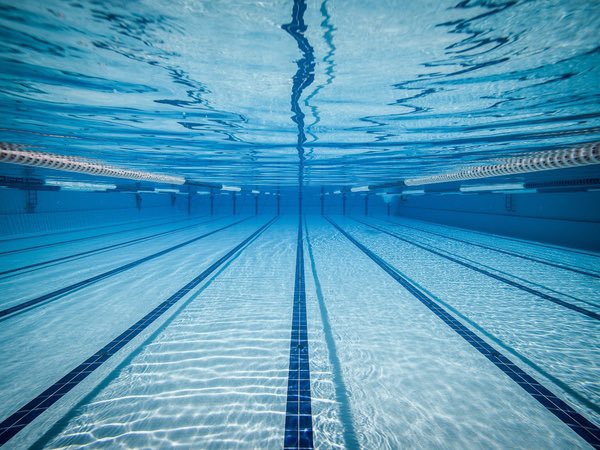 Một bài viết có thể quan tâm đến các vận động viên bơi lội của chúng tôi: https://t.co/X0KvVROsmu https://t.co/jVh0Qhg2YW
