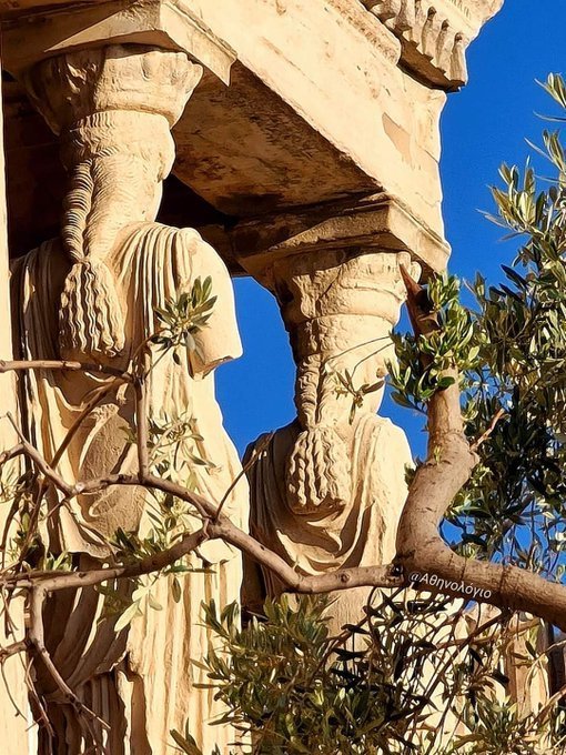 🏛 A view of two of the six Caryatids on the Porch of the Caryatids, the Erectheion, Athenian Acropolis. Photo credit: Athenologio.