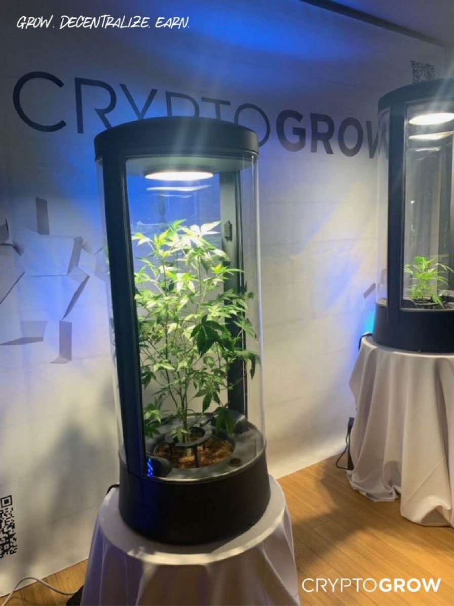 CryptoGrow NFT tweet media