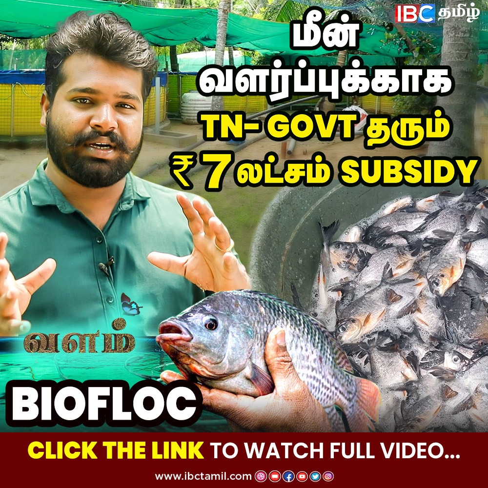 ibctamilmedia's tweet photo. ஏழு தொட்டி போதும், 4 லட்ச மீன் குஞ்சுகளை வளர்க்கலாம்! | Bio Floc Farming | Fish Farming | IBC Tamil

W@tch Full Video >>>> https://t.co/lsVmtHgFdj

#ibctamil #fishfarming #biofloc #bioflocsystem #biofloc_fish_farming #bioflocfish #valam #bioflocfarming #bioflocfarmingsystem https://t.co/SIJbqbhcA5
