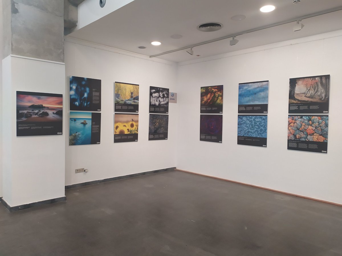 edvproduct's tweet photo. Un gran lujo de poder disfrutarlos ver. #Montphoto @montphoto en la  @BiblioLloret #LloretdeMar #fotos https://t.co/ZNelxx4k69