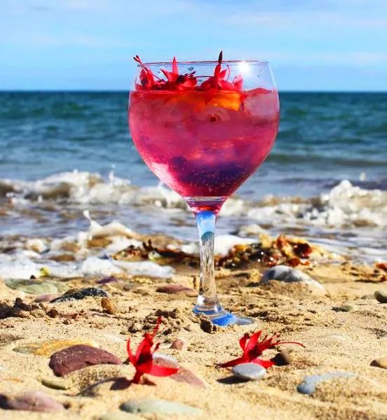 Beara Distillery tweet media