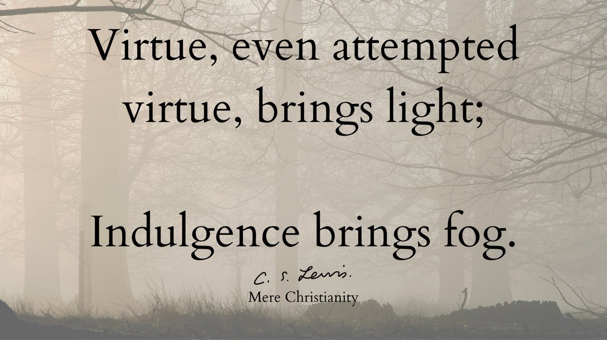 CSLIAtlanta's tweet photo. The value of even attempted virtue

#csli #csliatlanta #cslewis #cslewisquotes #cslewisbooks #merechristianity #virtue #ethics https://t.co/j7zJLmPBRN