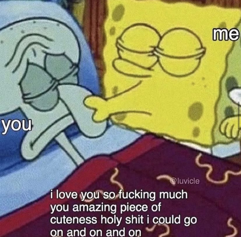 not cute & kinky memes tweet media