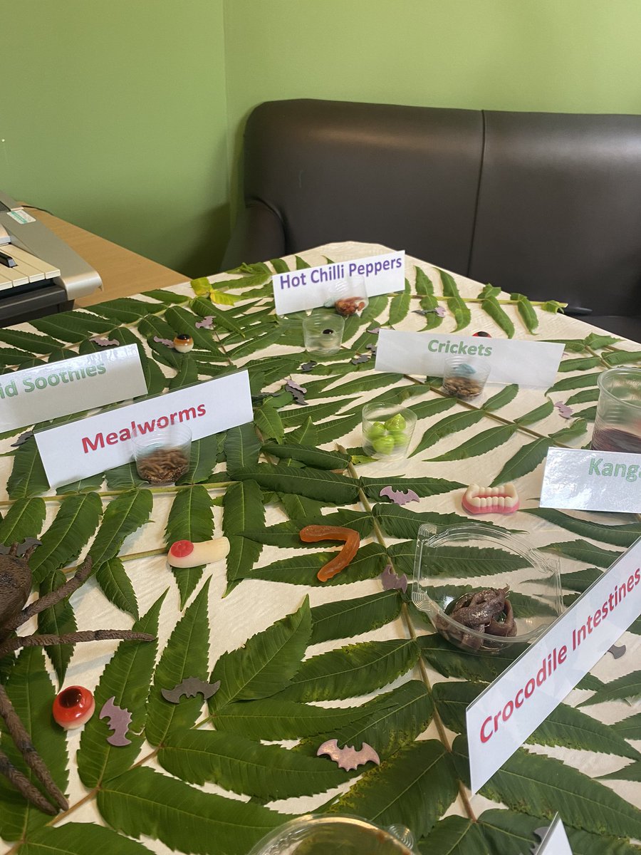 AvondaleMHC's tweet photo. All set up at Avondale MHC for our Bushtucker Trial this afternoon. Our residents are excited to try some exotic items with staff getting involved too! #activity #carehome #MentalHealthMatters #mentalhealth #carehomeactivities https://t.co/ppiWMuJJrI