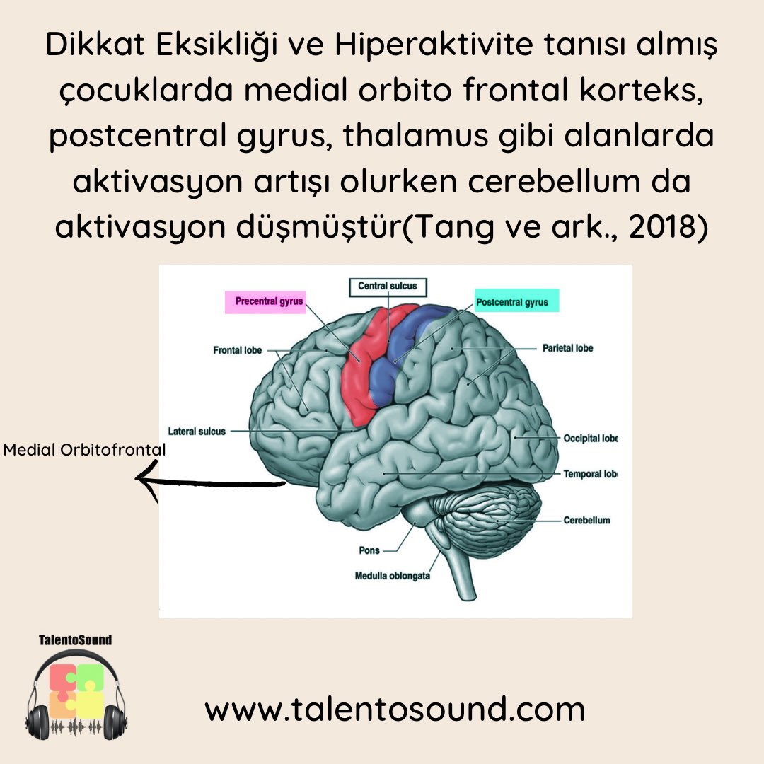 Dehb tanısı alan çocuklarda
medial orbito frontal korteks, postcentral gyrus, thalamus gibi alanlarda aktivasyon artışı olduğu gözlemlenmiştir. Çocuklarda dikkatin dağılması, kararların zorlaşması, hareketliliğin artması, duyusal…
instagram.com/p/Cj2ab-BAtdx/