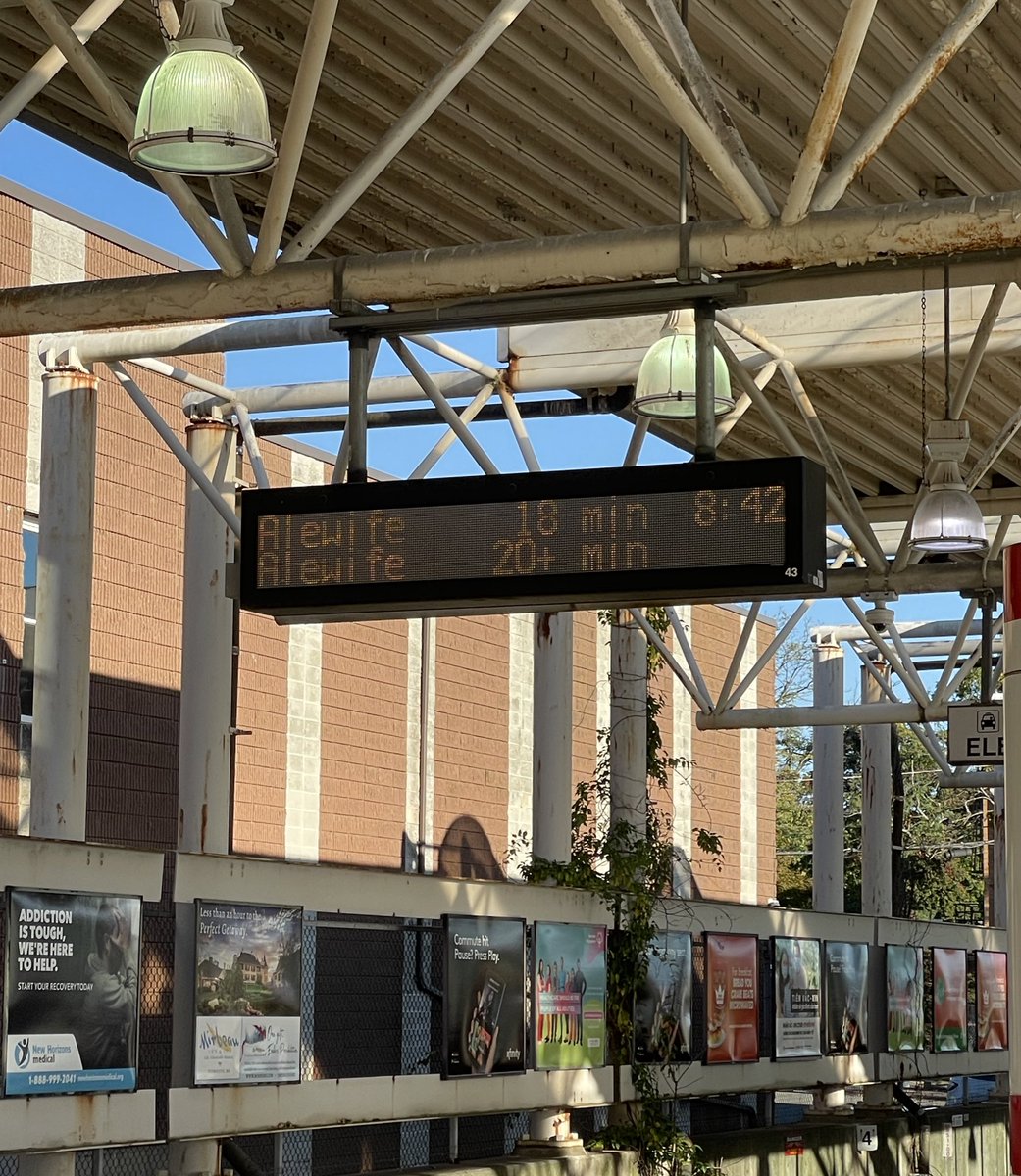 Ellen Fleming tweet media