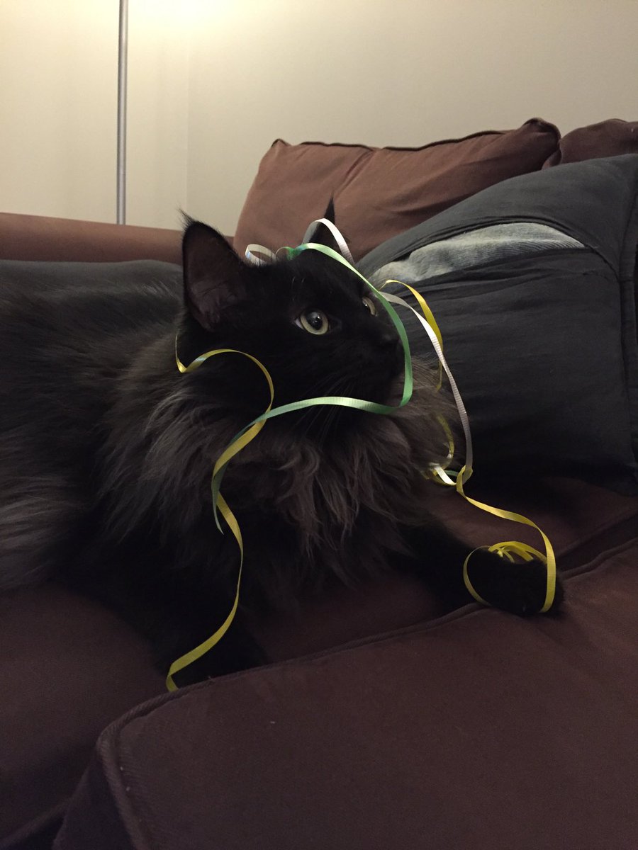 AcademicAuntie's tweet photo. NEW POD ALERT! 🎧Ep 22: The Not So Secret Lives of Academic Pets 👉 https://t.co/xkLZg2mtMt #AcademicChatter #PhDPets #CatsOfTwitter https://t.co/IScYVxPCg9
