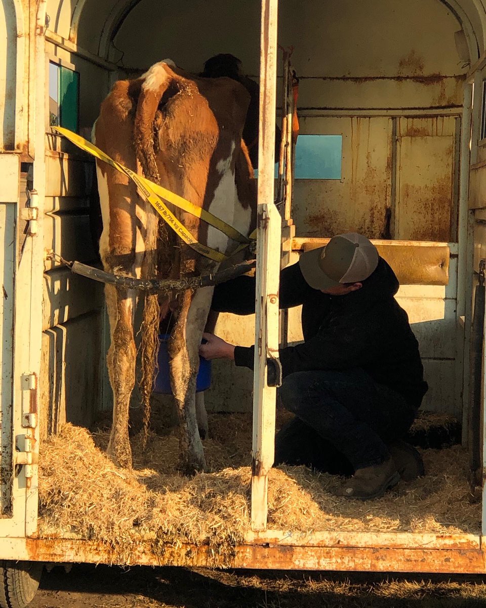 We love having special guests in kindergarten!@EJSMSchool