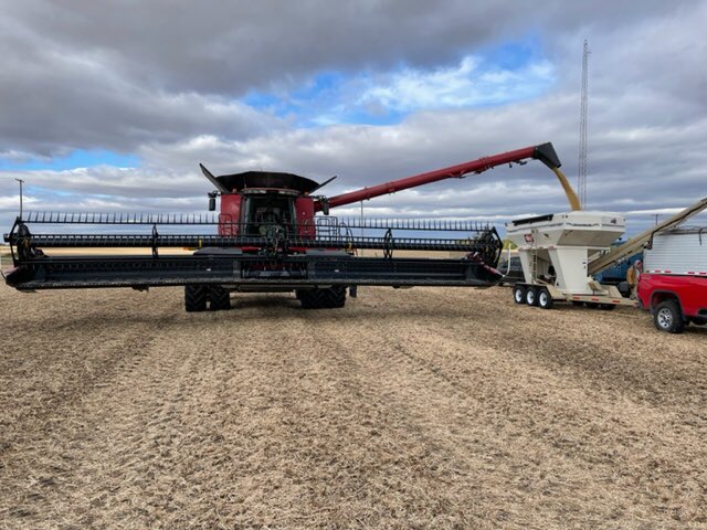 DKAS_NIN's tweet image. There’s #SignsOfSuccess when the new class of #Asgrow #XFSoy  dominates in Brook, Indiana! AG27XF3, AG28XF3, &amp;amp; AG33XF3 all came out on top of this @Asgrow_DEKALB plot #harvest22 by Coussens Farms and Wilson Fertilizer. Thanks for your partnership! #OneMoreBushel #BayerUp @RRXtend