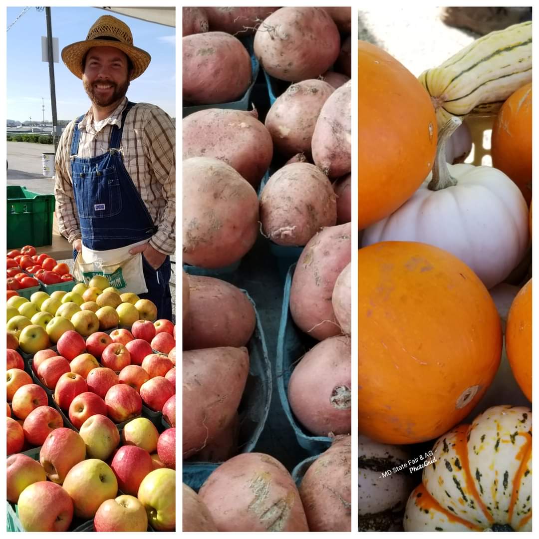 MDStateFair's tweet photo. Apples, Potatoes &amp; Pumpkins...Oh My!  Shop for these and other fresh, local Fall harvest produce, wine, pork, cheese and flowers, from 10 AM - 1 PM, today and next Wednesday at the Baltimore County Farmers Market at the Maryland State Fairgrounds.  #BaltoCo #FarmersMarket https://t.co/I8DhdFFrqs