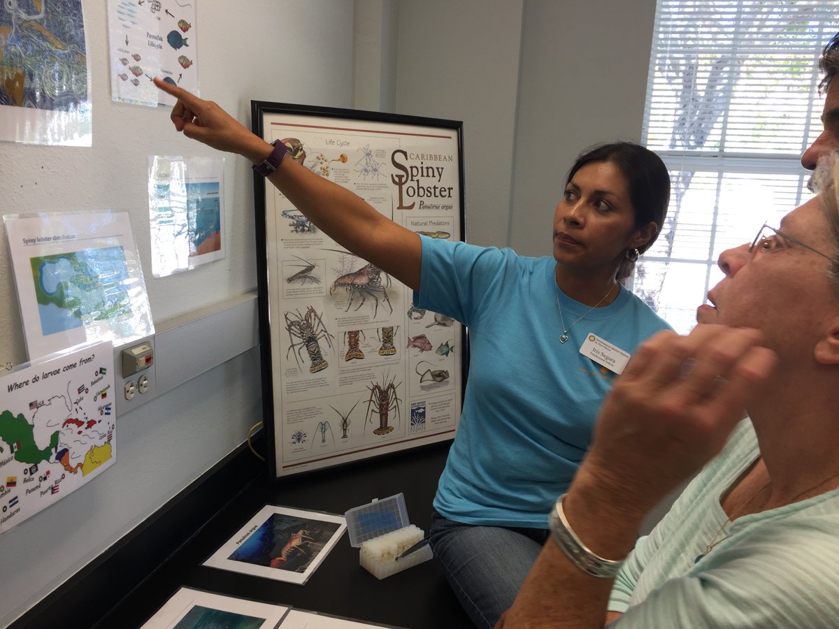 If you're a #graduate student or #postdoc looking for a #fellowship, SMS has several great #opportunities with applications due Nov 1st. 

Visit fellowships.si.edu to learn more and join us at the Smithsonian Marine Station in Ft. Pierce, FL!