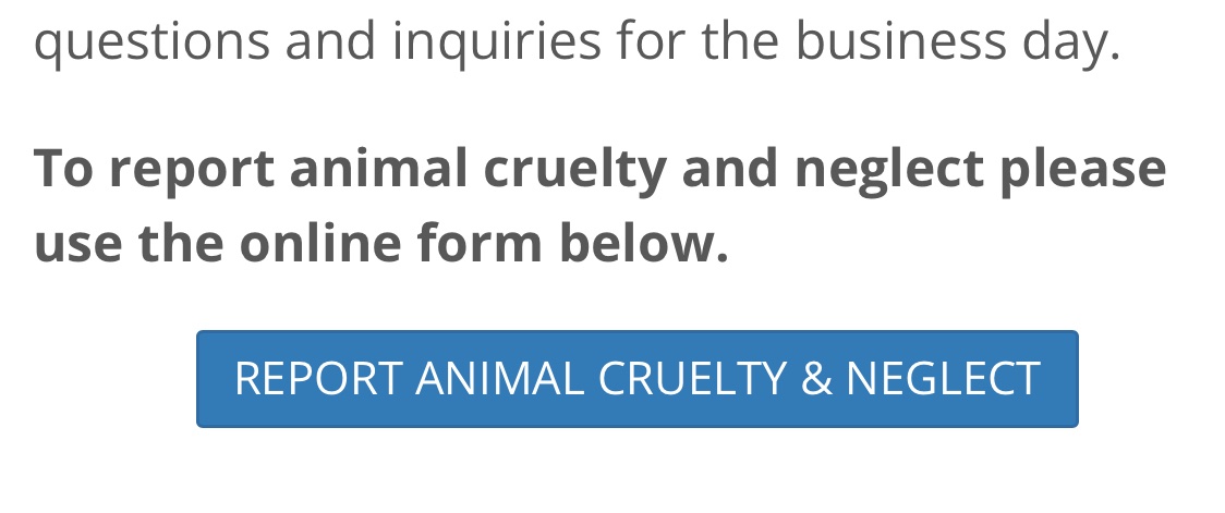 groovy2525's tweet photo. @peta @GuilfordCounty I would like to report animal cruelty &amp; neglect. Who do I report YOUR OFFICE?? https://t.co/7k1LiqBDaZ