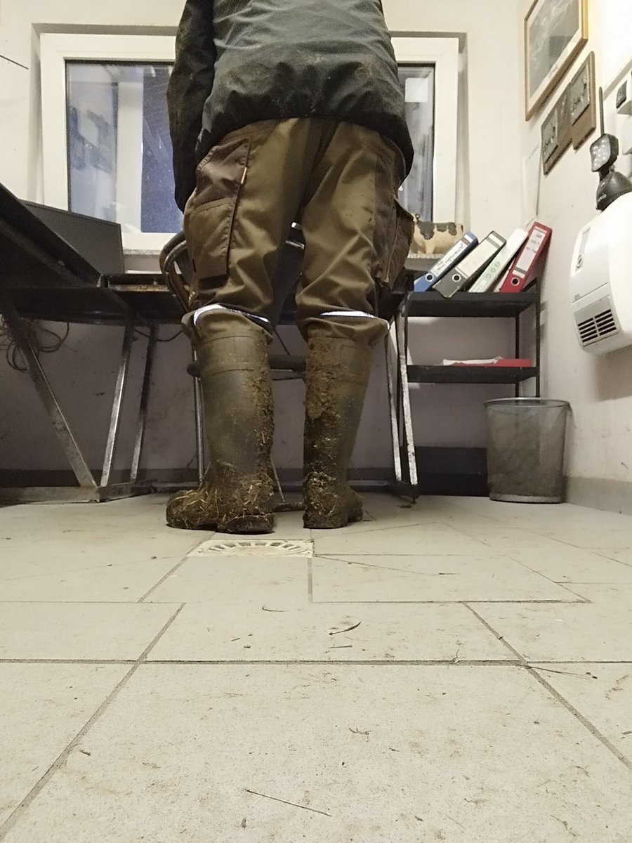 GummistiefelK's tweet photo. Stalldienst und geil dabei !!🤠🐄💩🧦🧦🧦😜😜😜 https://t.co/Or1hOZsoQF