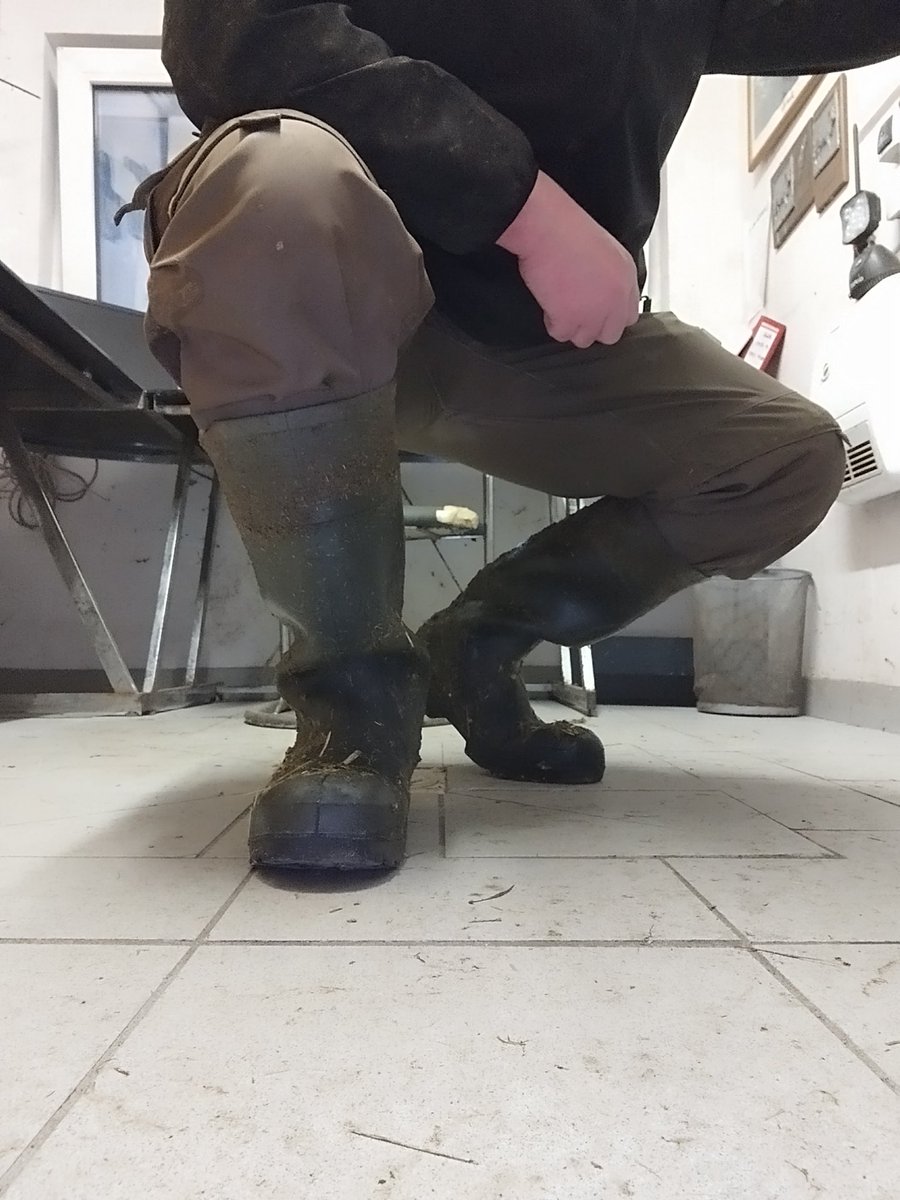 GummistiefelK's tweet photo. Stalldienst und geil dabei !!🤠🐄💩🧦🧦🧦😜😜😜 https://t.co/Or1hOZsoQF