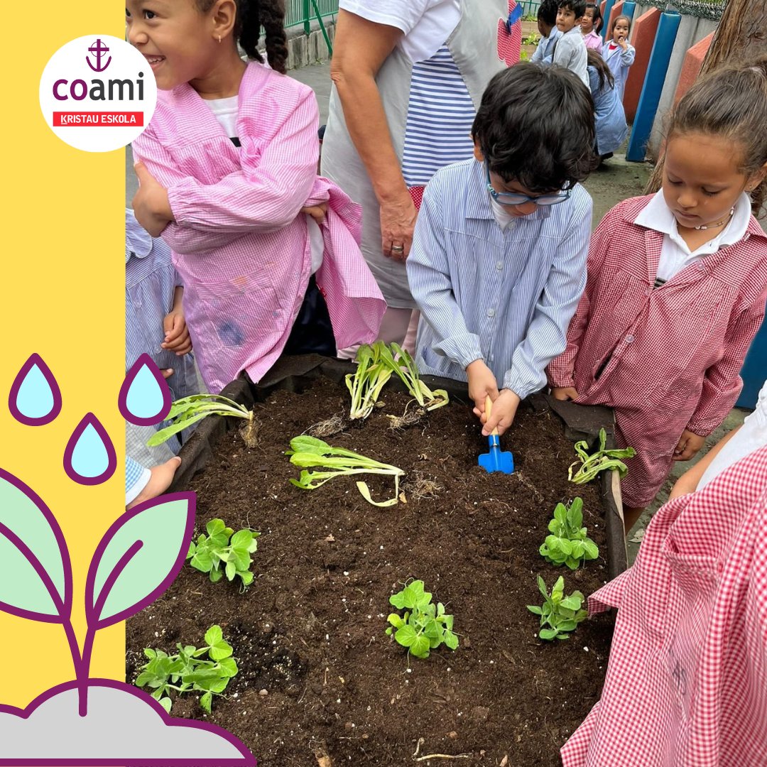 Nuestros expertos agricultores y agricultoras ya tienen prepara la huerta para el invierno. En primavera nos vamos a poner morados. 

#huertoescolar #vidasana #aprendizaje